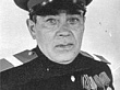 МЕДВЕДЕВ  ИВАН  ВАСИЛЬЕВИЧ  (1914 – 1973)